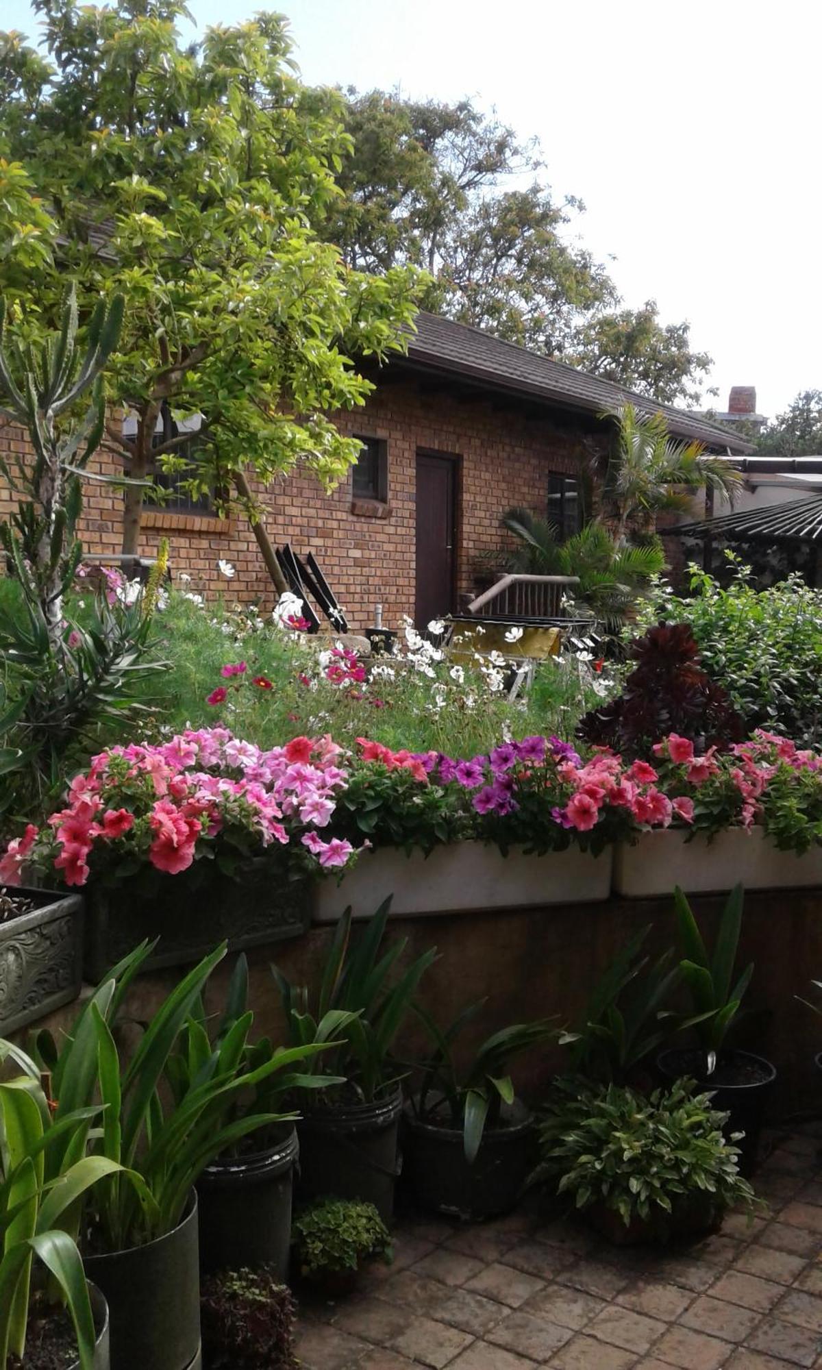 Marlin Cottage Chintsa Bilik gambar